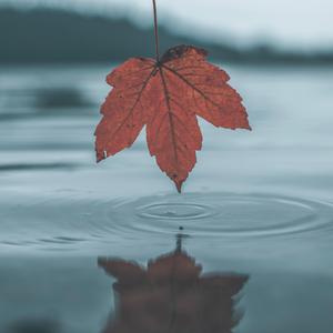 我在上面动很舒服在线观看
