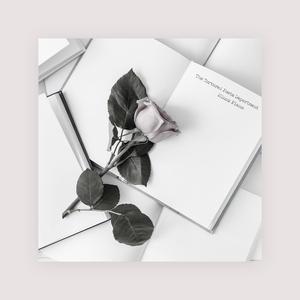 我在上面动很舒服在线观看
