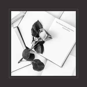 我在上面动很舒服在线观看
